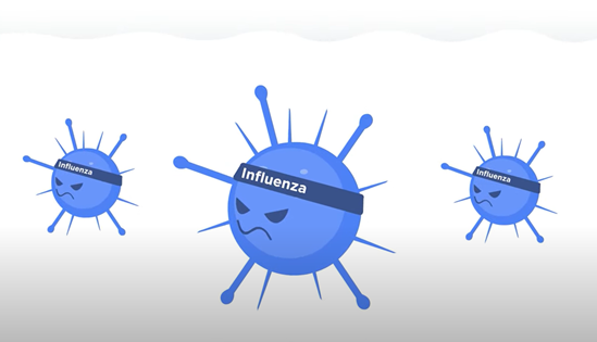 What is flu