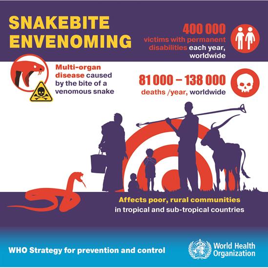 Snakebite envenoming - the facts