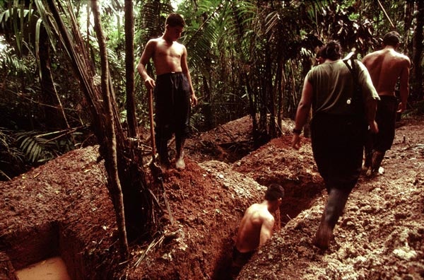 ni&ntilde;os combatientes