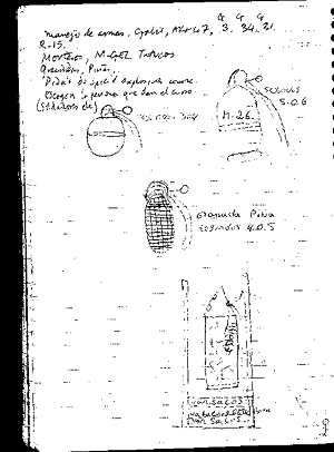 ni&ntilde;os combatientes