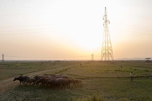 A telecommunications tower in Mrauk U township, Rakhine State, where the Myanmar government has imposed an internet blackout. 