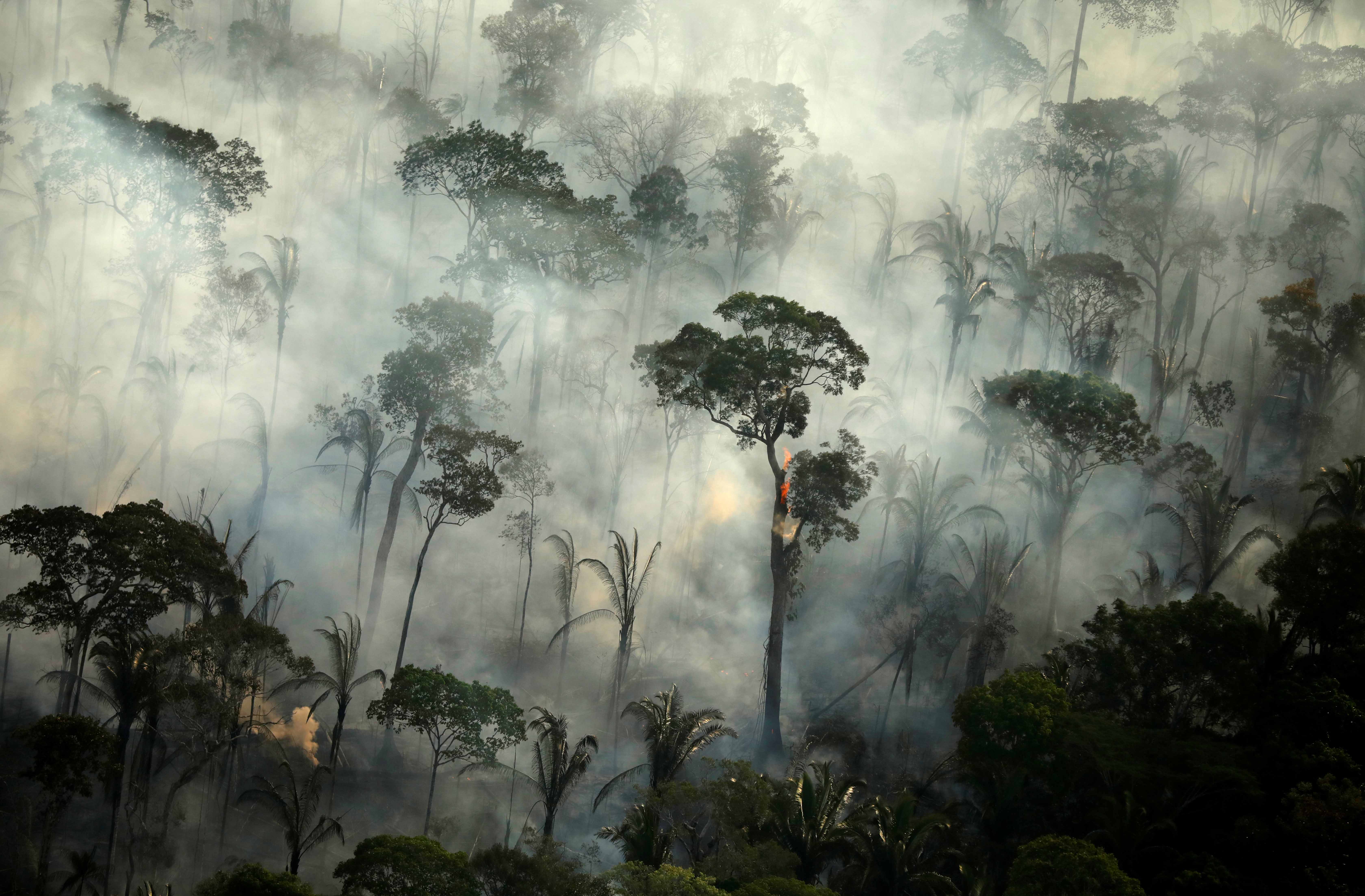 Smoke billows during a fire in an area of the Amazon rainforest near Porto Velho, Rondonia State, Brazil.  