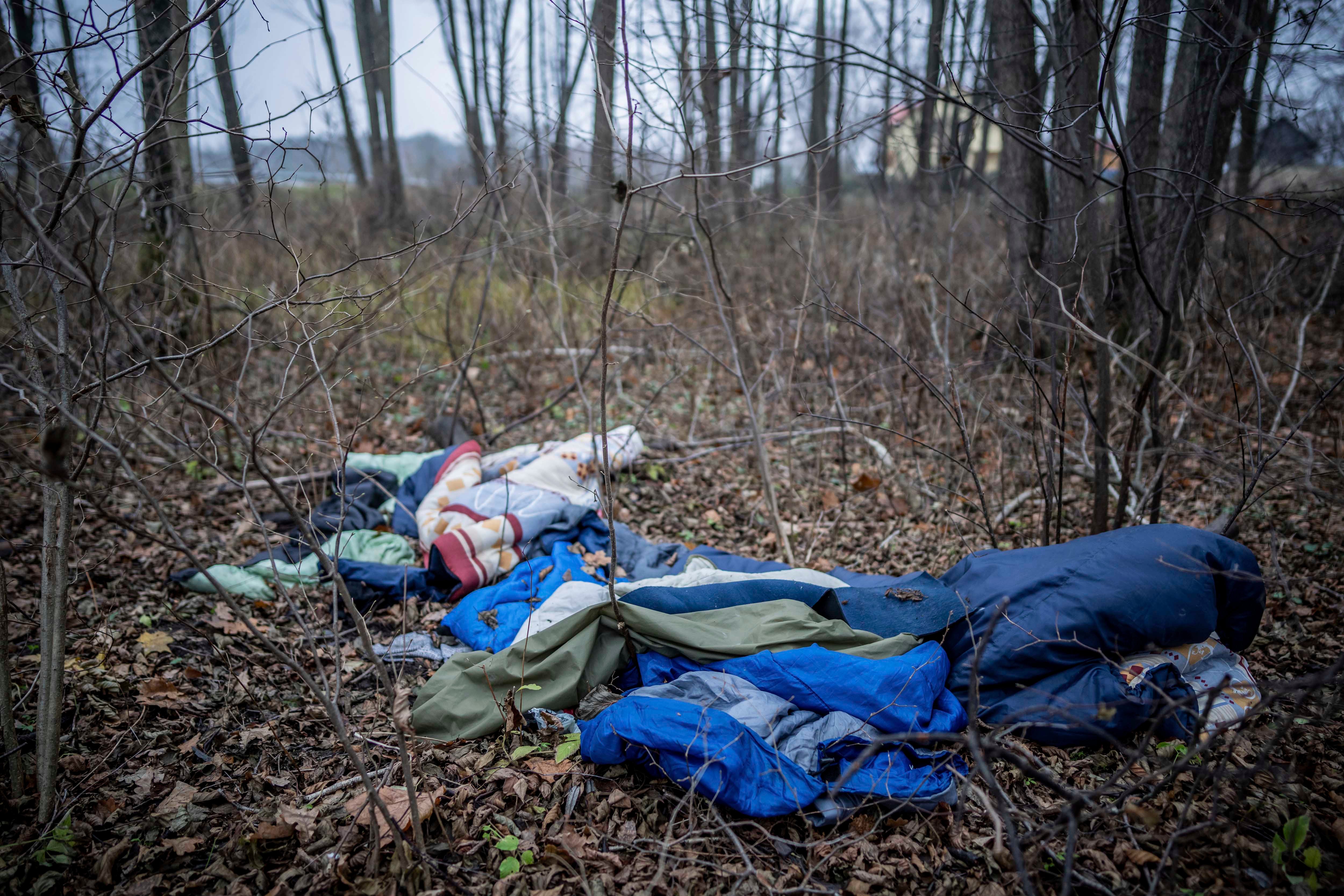Blankets and sleeping bags strewn across a forest floor