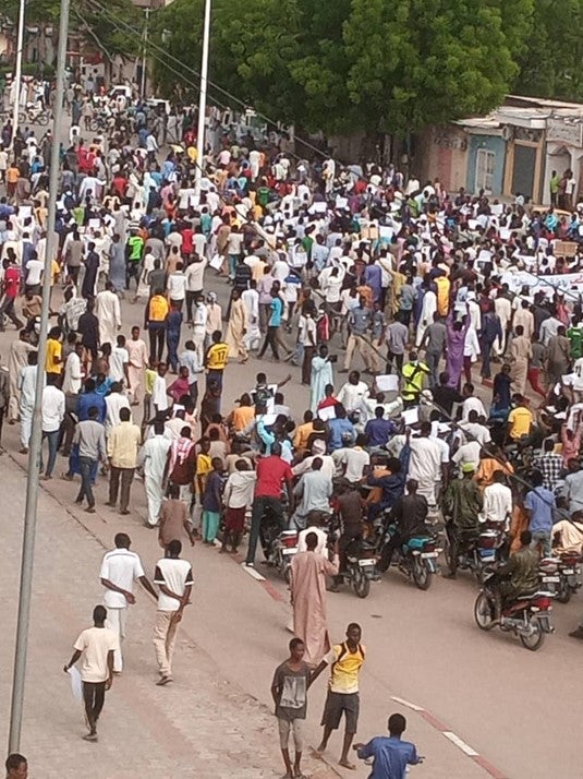 A group of demonstrators on a city street