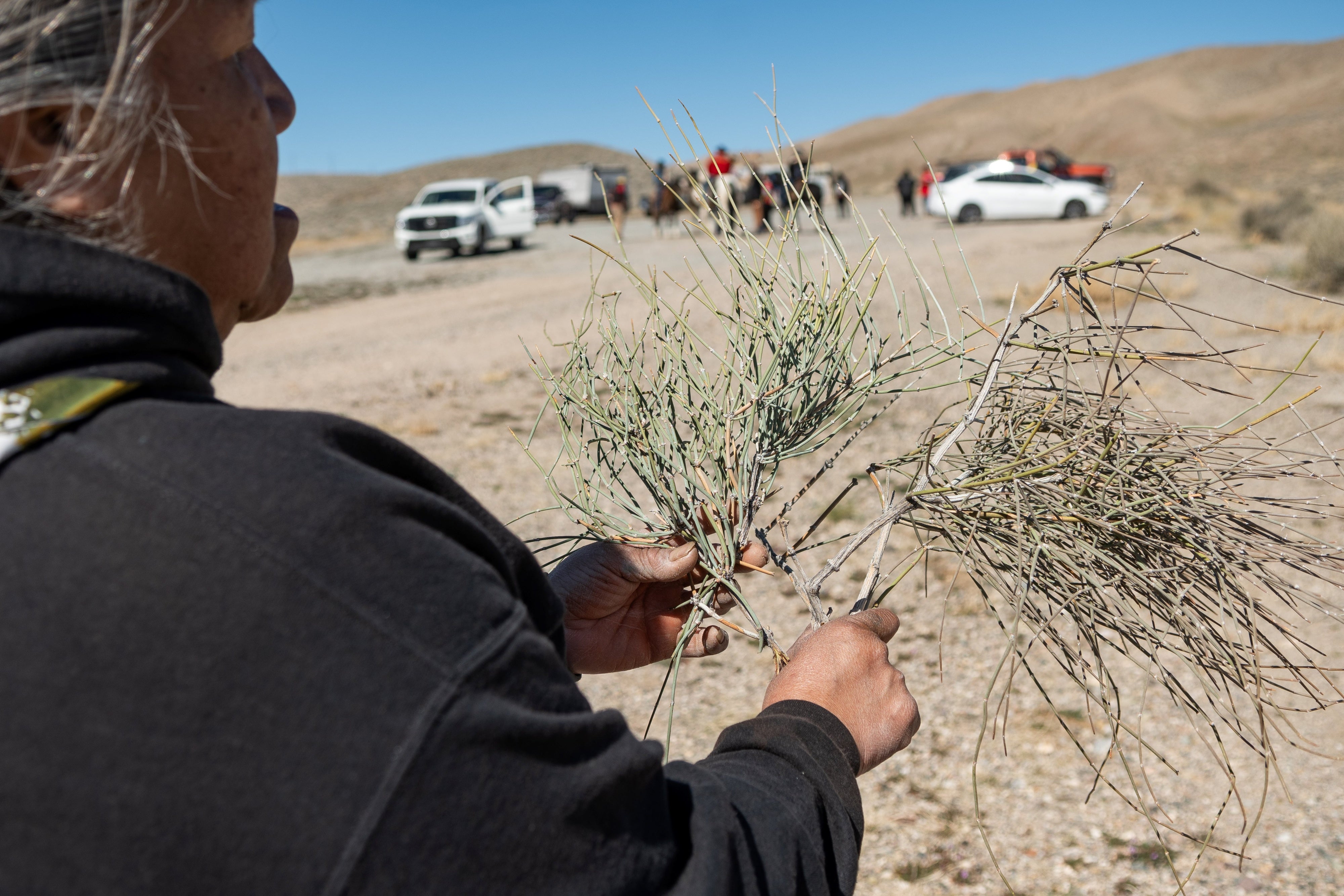 A Numu/Nuwu and Newe woman holding culturally significant plants