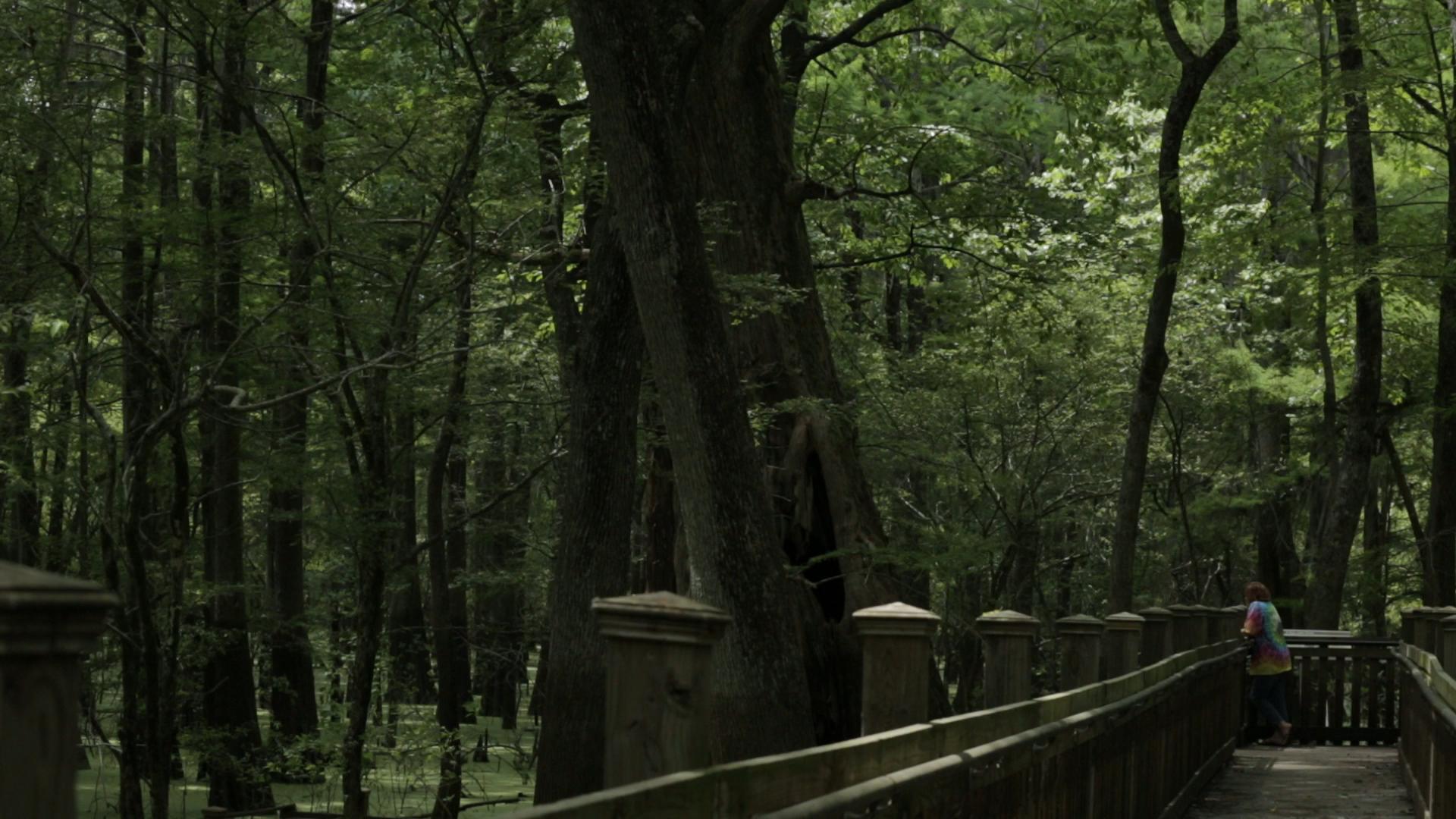 Lindy Lou Wells filmed standing the Mississippi wilderness for the film Lindy Lou, Juror Number 2