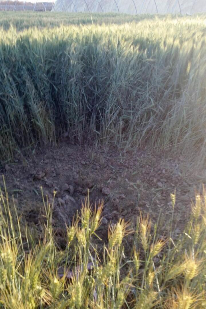 Uma cratera formada após ataque de 22 de fevereiro em Qahza, província de Saada, apresenta característica de danos causados por submunição de um ataque com munição cluster.