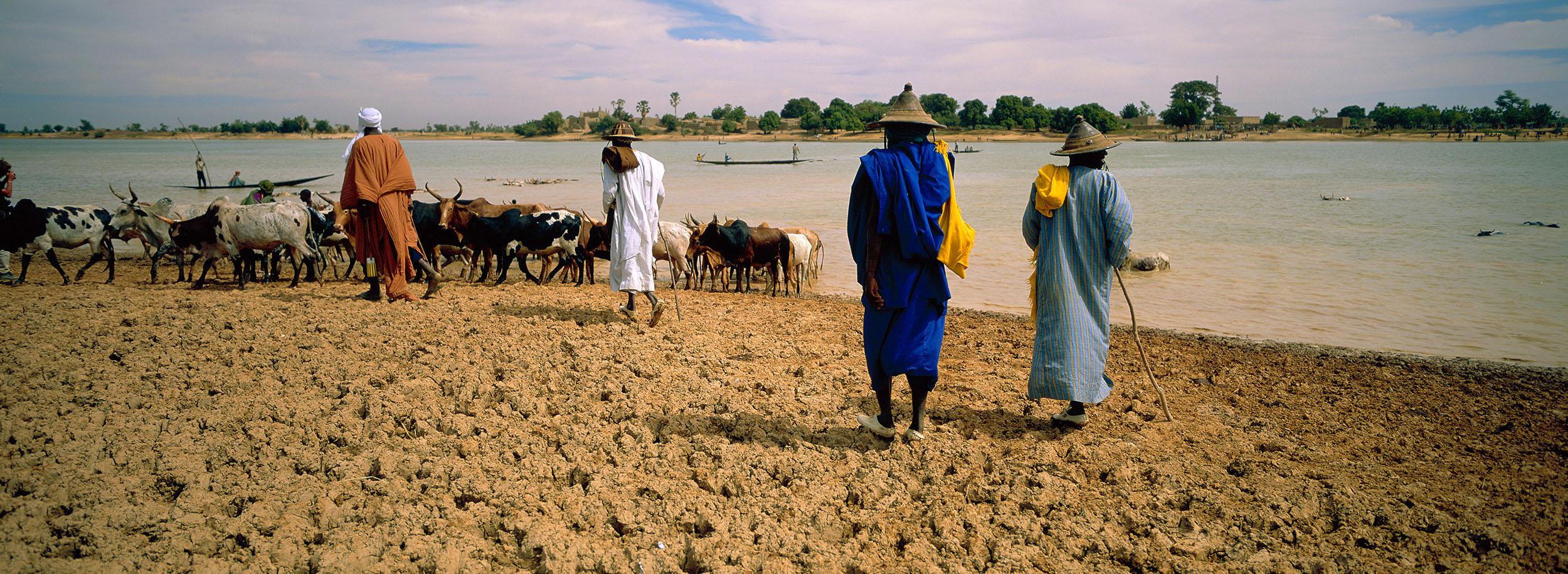 Peuhl animal herders waiting to cross the Bani River, near Sofara, central Mali.  On August 7, 2018, Dozo militia allegedly detained 11 Peuhl traders as they waited to cross the river to go to Sofara market, and later killed them.  