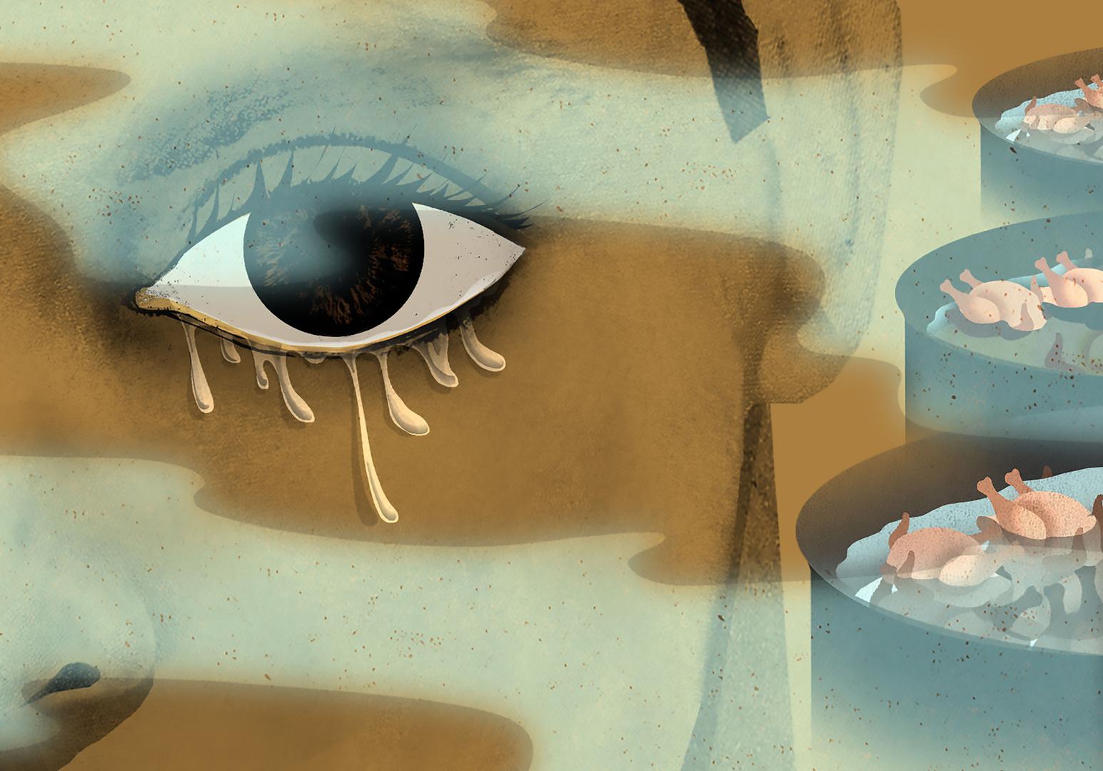 201909bhr_usp_meatpacking_chemicalillo