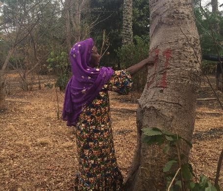 202004Africa_Guinea_Souapiti_5_FR