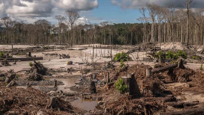 Deforested area in the Yanomami Indigenous Territory, located in the Brazilian states of Roraima and Amazonas, in June 2021.