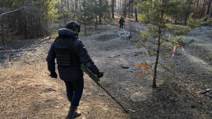 A demining team walking in a forest