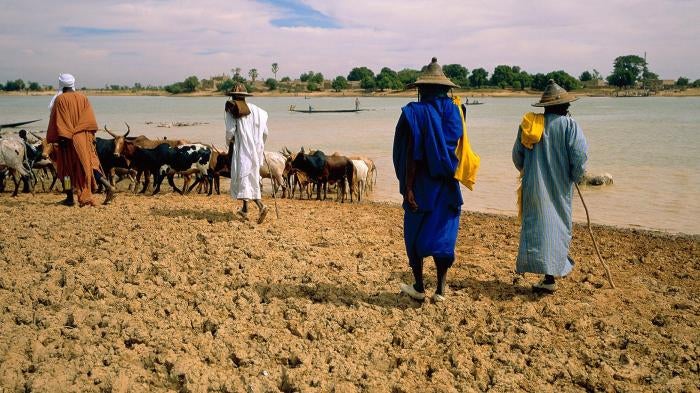 Peuhl animal herders waiting to cross the Bani River, near Sofara, central Mali.  On August 7, 2018, Dozo militia allegedly detained 11 Peuhl traders as they waited to cross the river to go to Sofara market, and later killed them.  