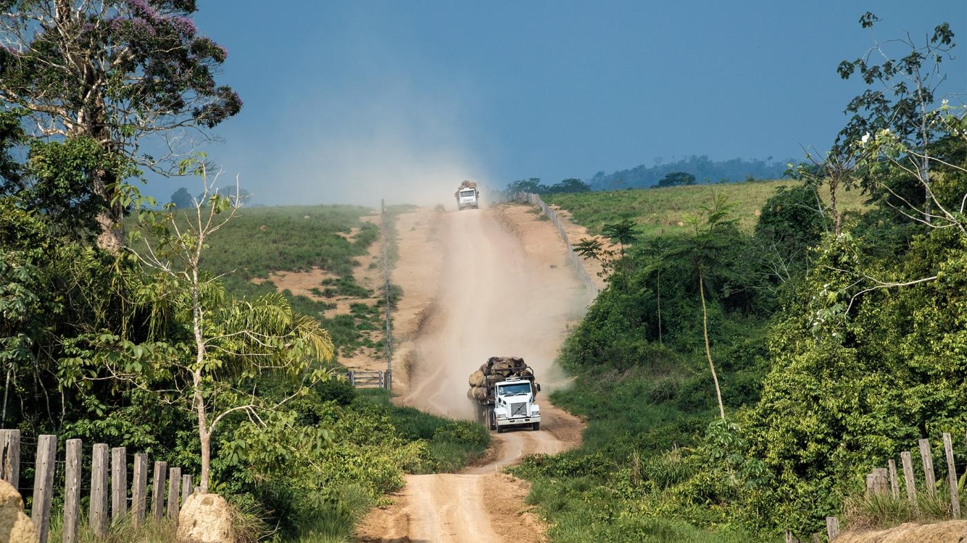  Caminhões transportam madeira extraída ilegalmente de dentro do assentamento Terra Nossa. September 30, 2019.
 © 2019 Fernando Martinho/Repórter Brasil