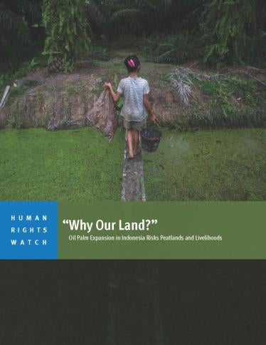 A child carries palm kernels collected from the ground across a creek at an oil palm plantation in Sumatra, Indonesia, November 2017.