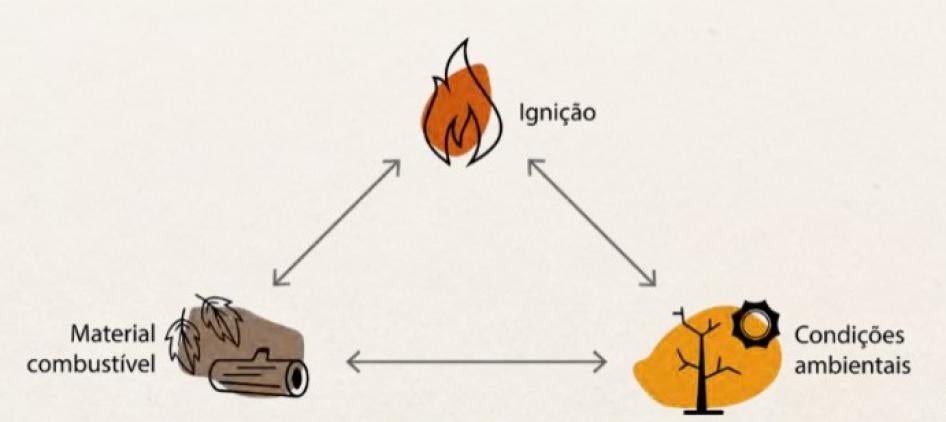 202008americas_brazil_fire_triangle_pt