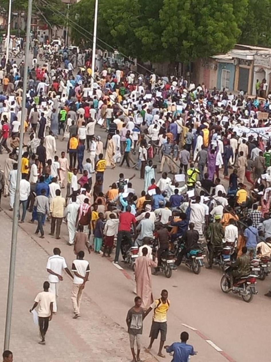 A group of demonstrators on a city street