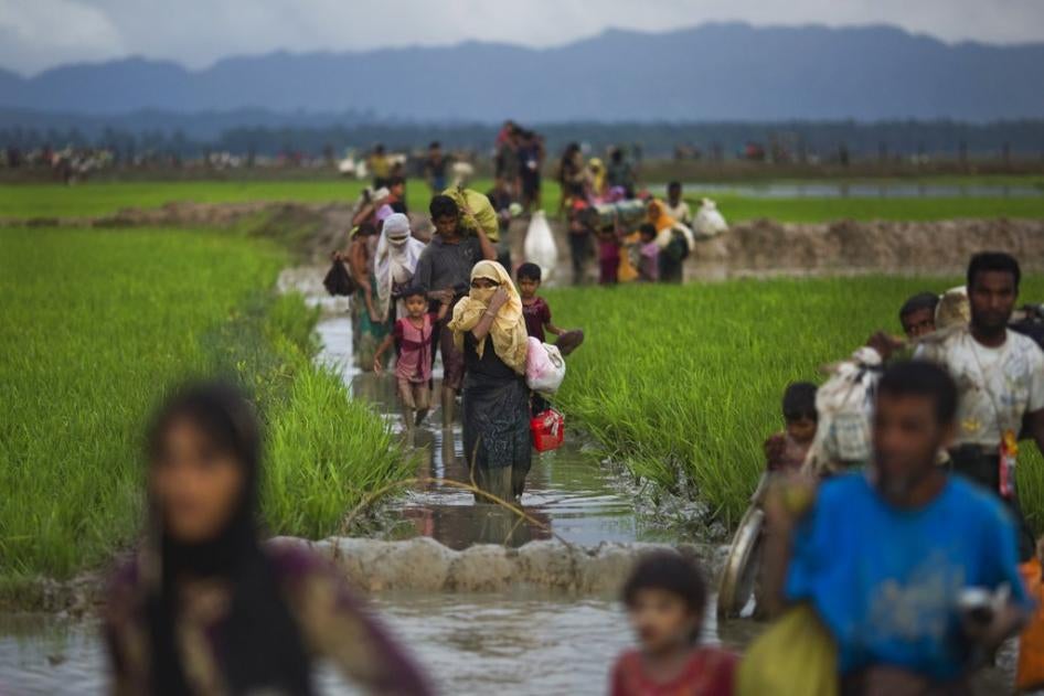 Sejumlah warga Rohingya berjalan kaki melalui sawah setelah melarikan diri dengan melintasi perbatasan dari Myanmar menuju Bangladesh dekat Teknaf, 1 September 2017 