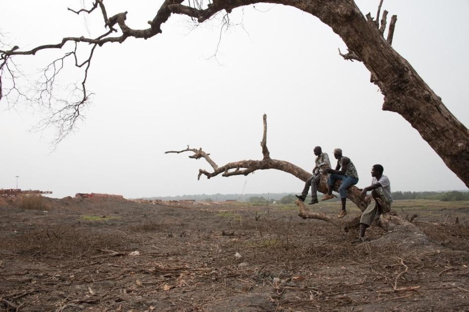 Farmers from Dapilon village, in the Boké region, look out over land, on the banks of the River Nunez, cleared for the construction of a mining port belonging to the La Société Minière de Boké consortium.