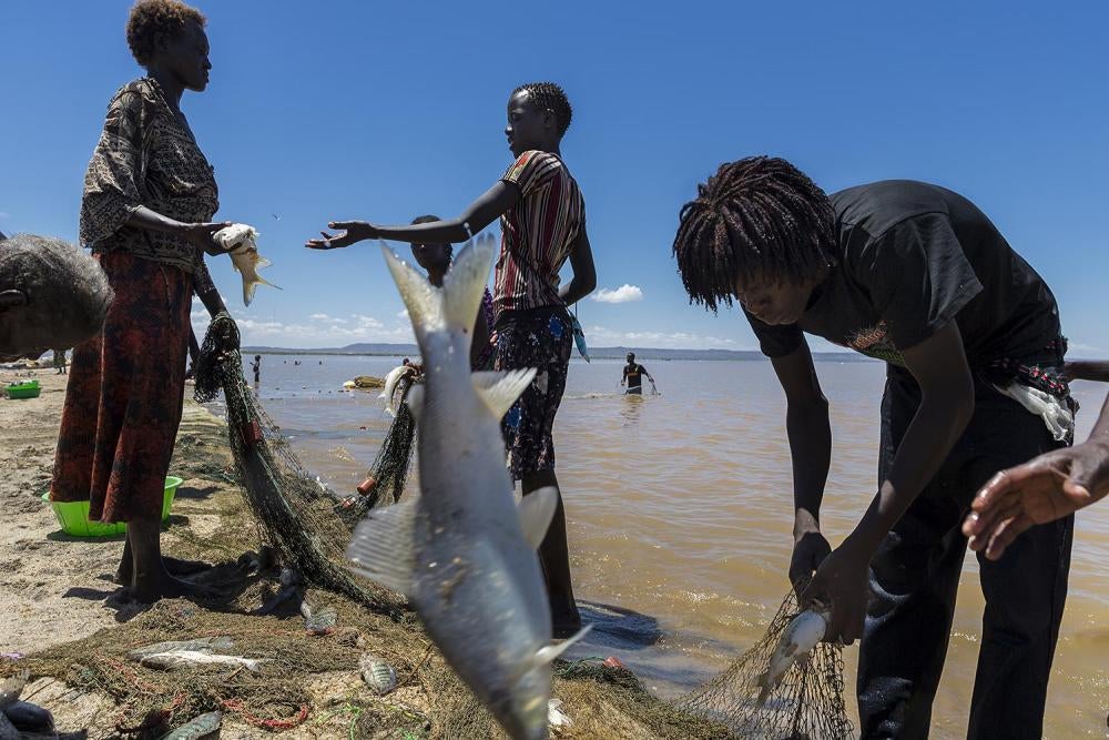 Des villageois attrapent des poissons