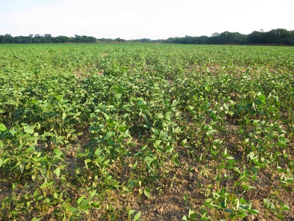 201710africa_zambia_land