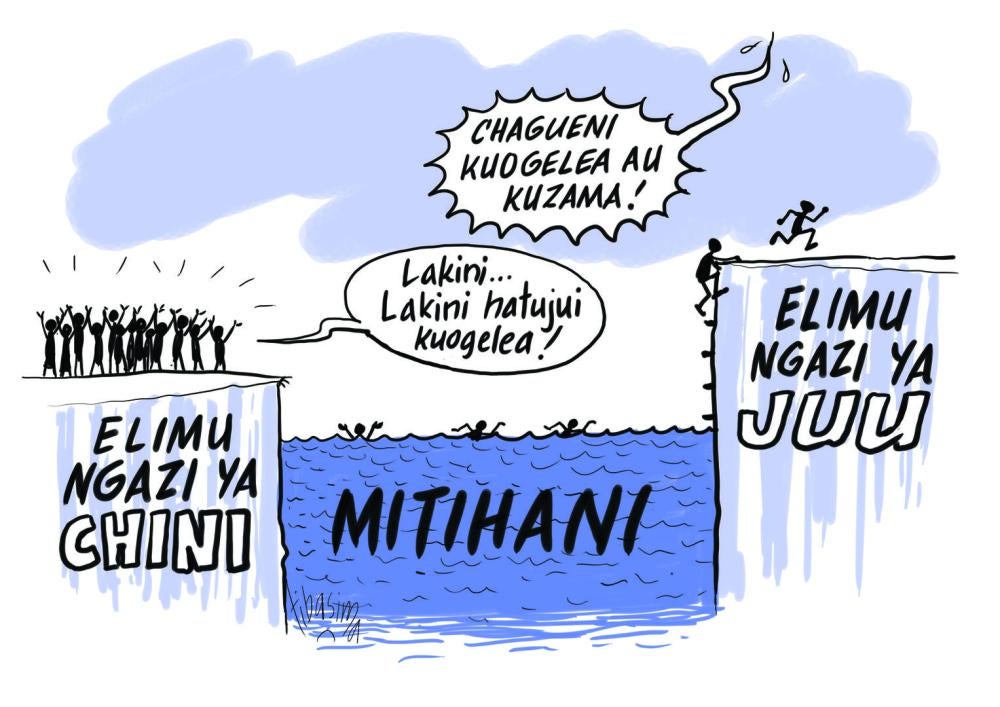 Cartoon for Tanzania Education Report 