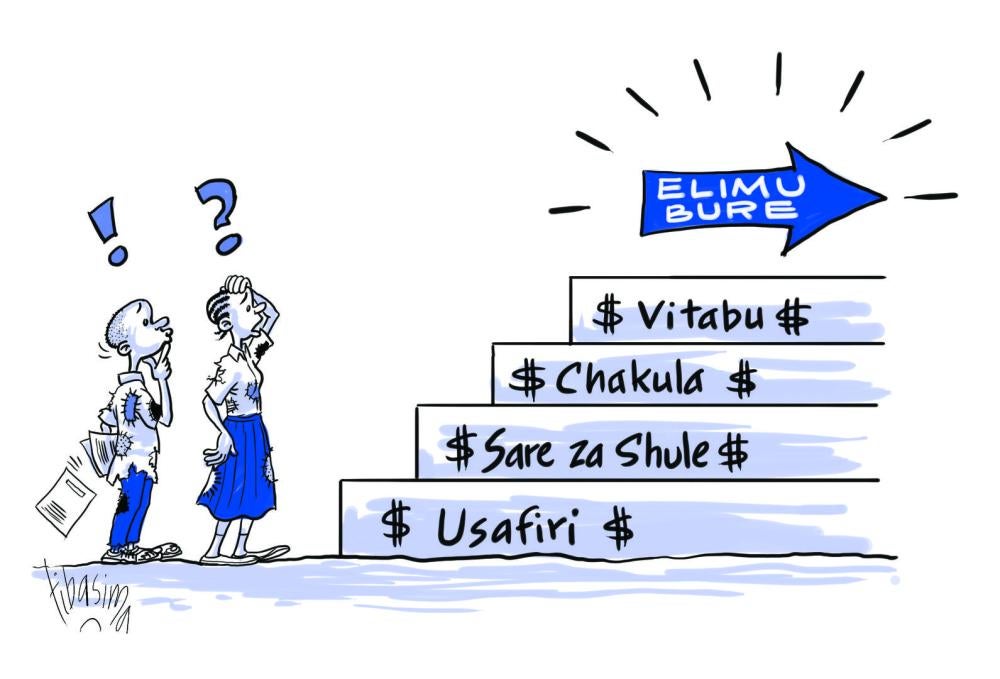 Cartoon for Tanzania Education Report 