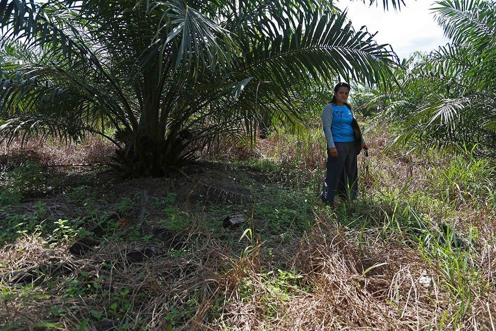 201909WRD_Indonesia_pic