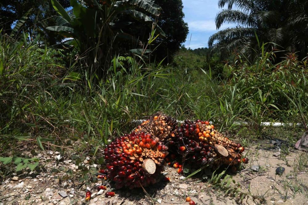 201909WRD_Indonesia_pic