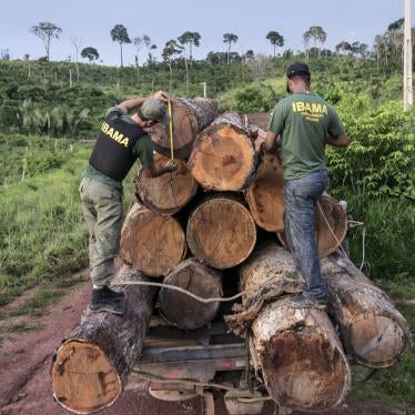 In this March 10, 2018 photo released by Ibama, the Brazilian Environmental and Renewable Natural Resources Institute, agents from Ibama measure illegally cut timber from Cachoeira Seca indigenous land in Para state in Brazil's Amazon basin.