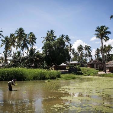 A Mozambican woman works in a rice paddy in Palma, where large deposits of natural gas were found offshore, February 2017. 