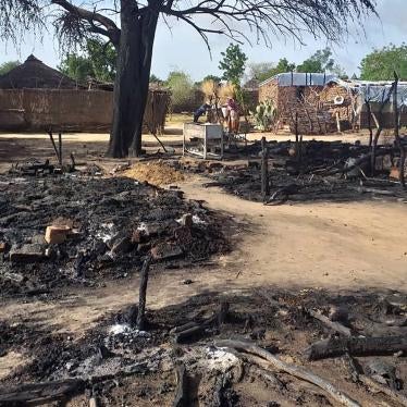 The aftermath of an attack on the village of Masteri in west Darfur, Sudan Saturday, July 25, 2020. 