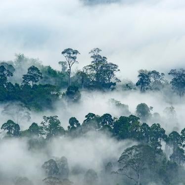 Danum Valley Conservation Area, State of Sabah, Borneo Island, Malaysia, August 5, 2019.