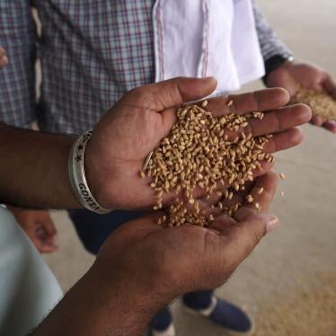 A man holds wheat in his hand