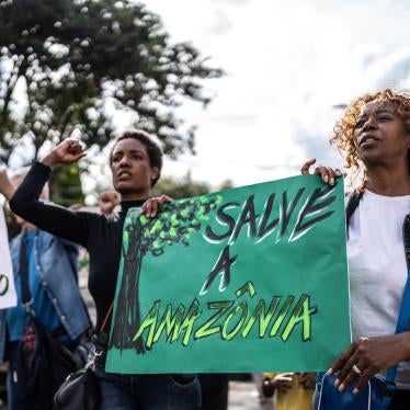 Environmentalists protesting in Brazil.
