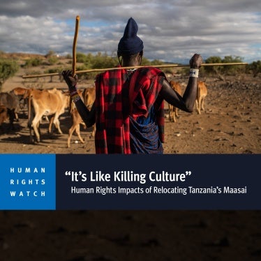 English report cover