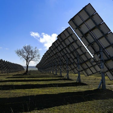 A tree is surrounded by solar panels in Los Arcos, Navarra Province, northern Spain, on Feb. 24, 2023.
