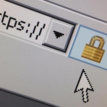 A lock icon, signifying an encrypted Internet connection, is seen on an Internet Explorer browser in a photo illustration in Paris, April 15, 2014. 