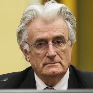 2016-3-ijp-karadzic