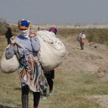 A woman wearing a scarf that covers her face walks down a farm road carrying heavy sacks filled with cotton.