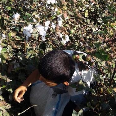 A school-age boy hides under direction from a teacher who feared he would be seen by a monitor during the 2016 cotton harvest, Beruni district, Karakalpakstan