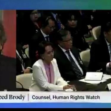 A screenshot of Reed Brody interviewing on Democracy Now!