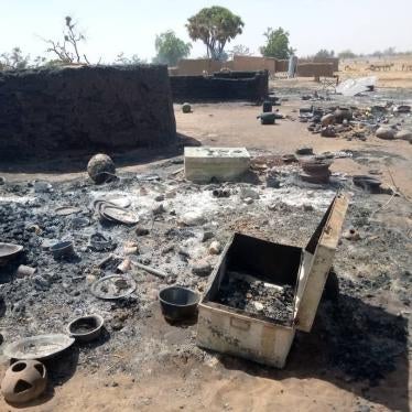 Part of the destroyed village of Ogossagou, attacked by armed Dogon men on February 14, 2020. The attack left over 35 Peuhl civilians dead.  © 2020 Private. 
