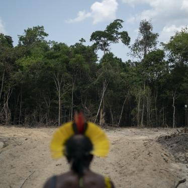 Krimej indigenous Chief Kadjyre Kayapo, looks out at a path created by loggers, in Altamira, Para state, Brazil, Saturday, Aug. 31, 2019. 