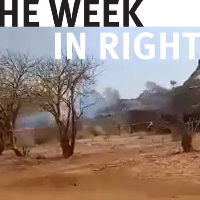 Trees and houses in Syria. 